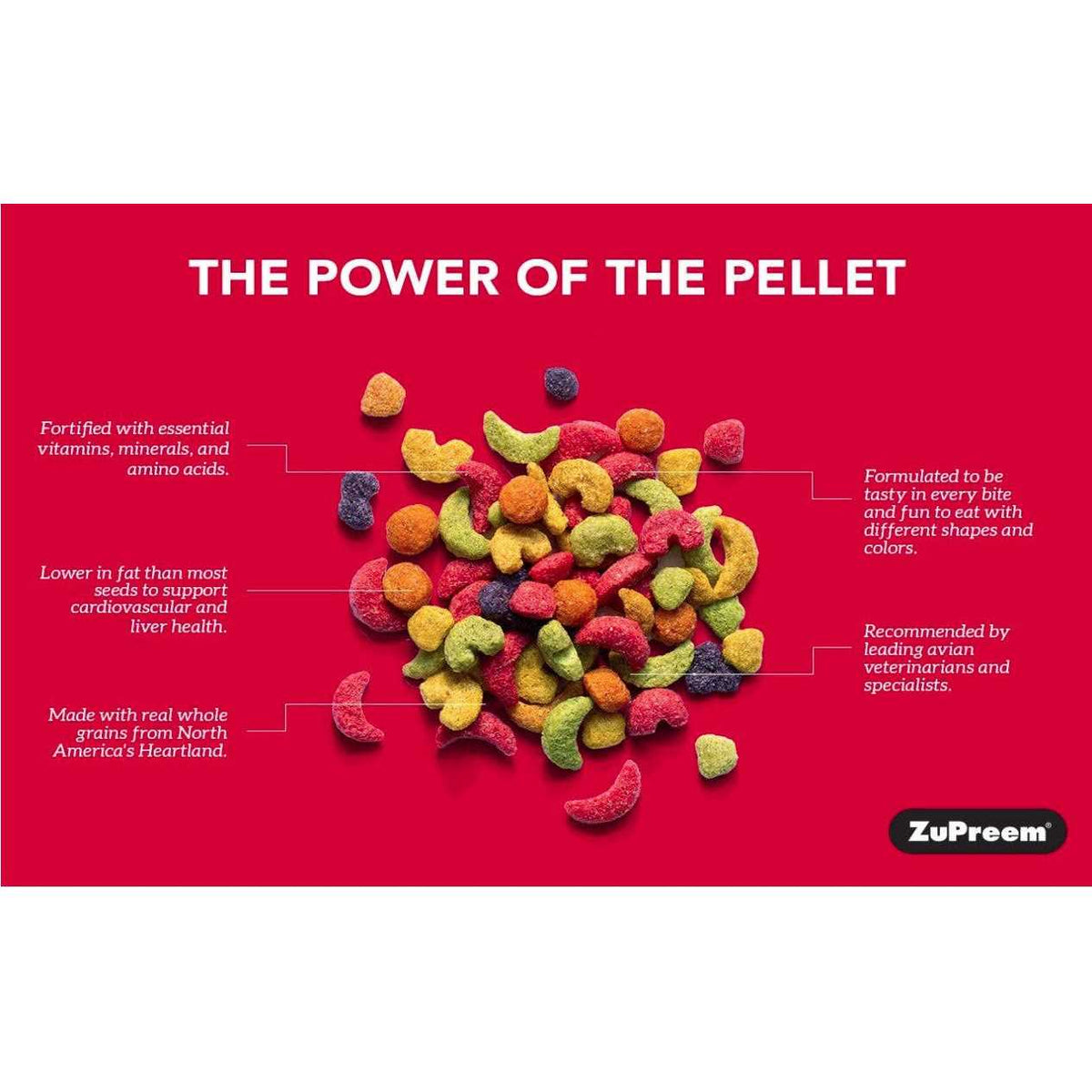 FruitBlend Flavor Large Bird Food E33583