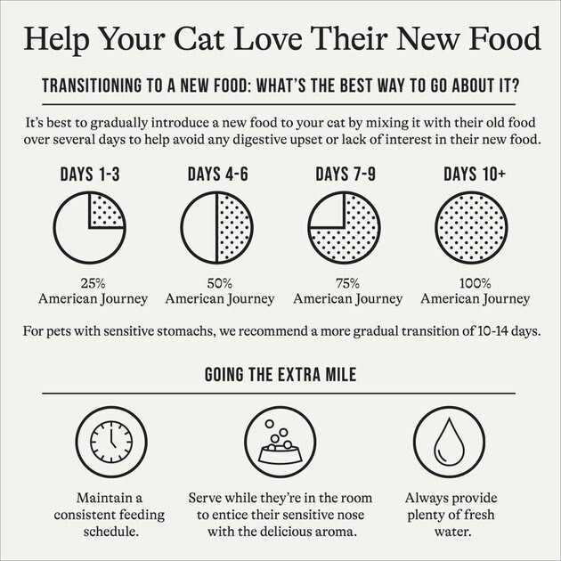 Salmon Grain-Free Dry Cat Food Z404217