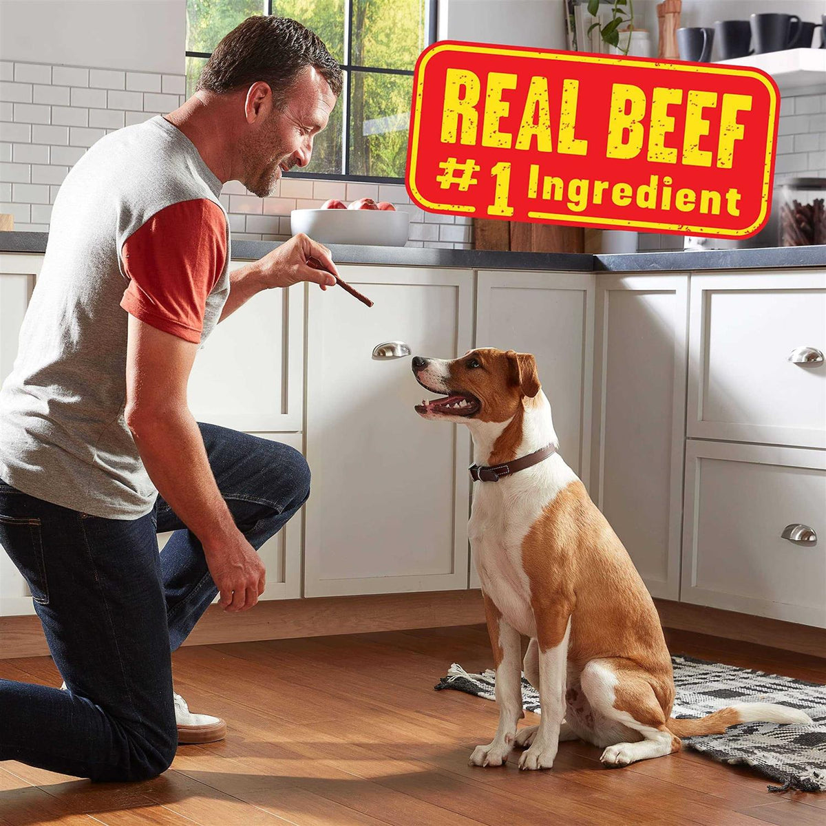 Dog A175