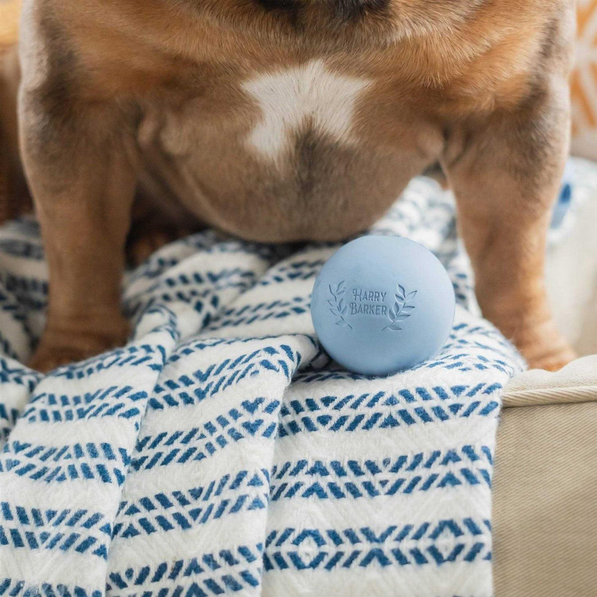 Rubber Balls and Chew Stick X59926