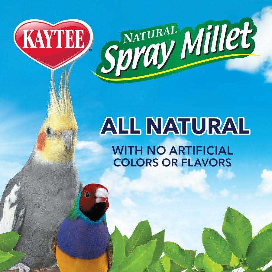 Spray Millet B830871