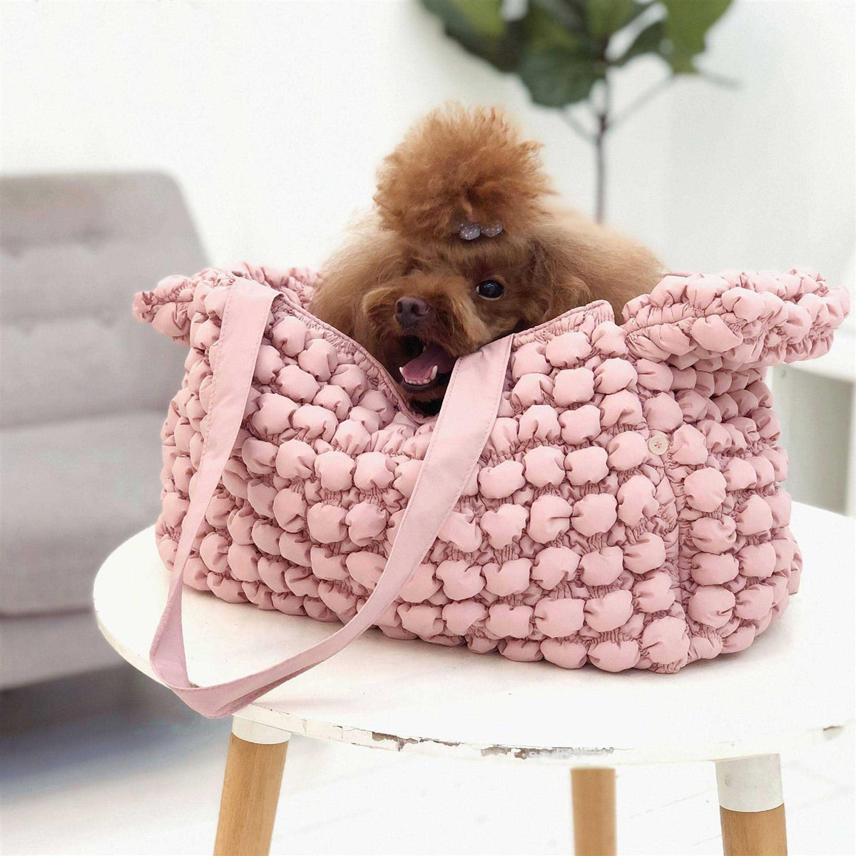 Pet Carrier X4034