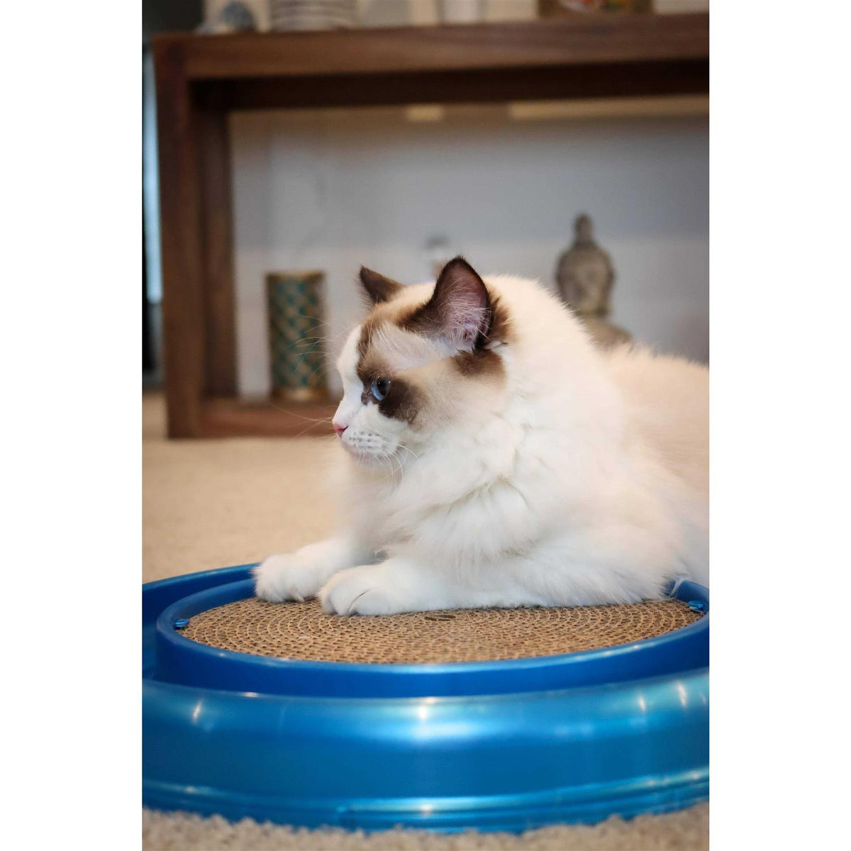 Interactive Cat Toy U45116