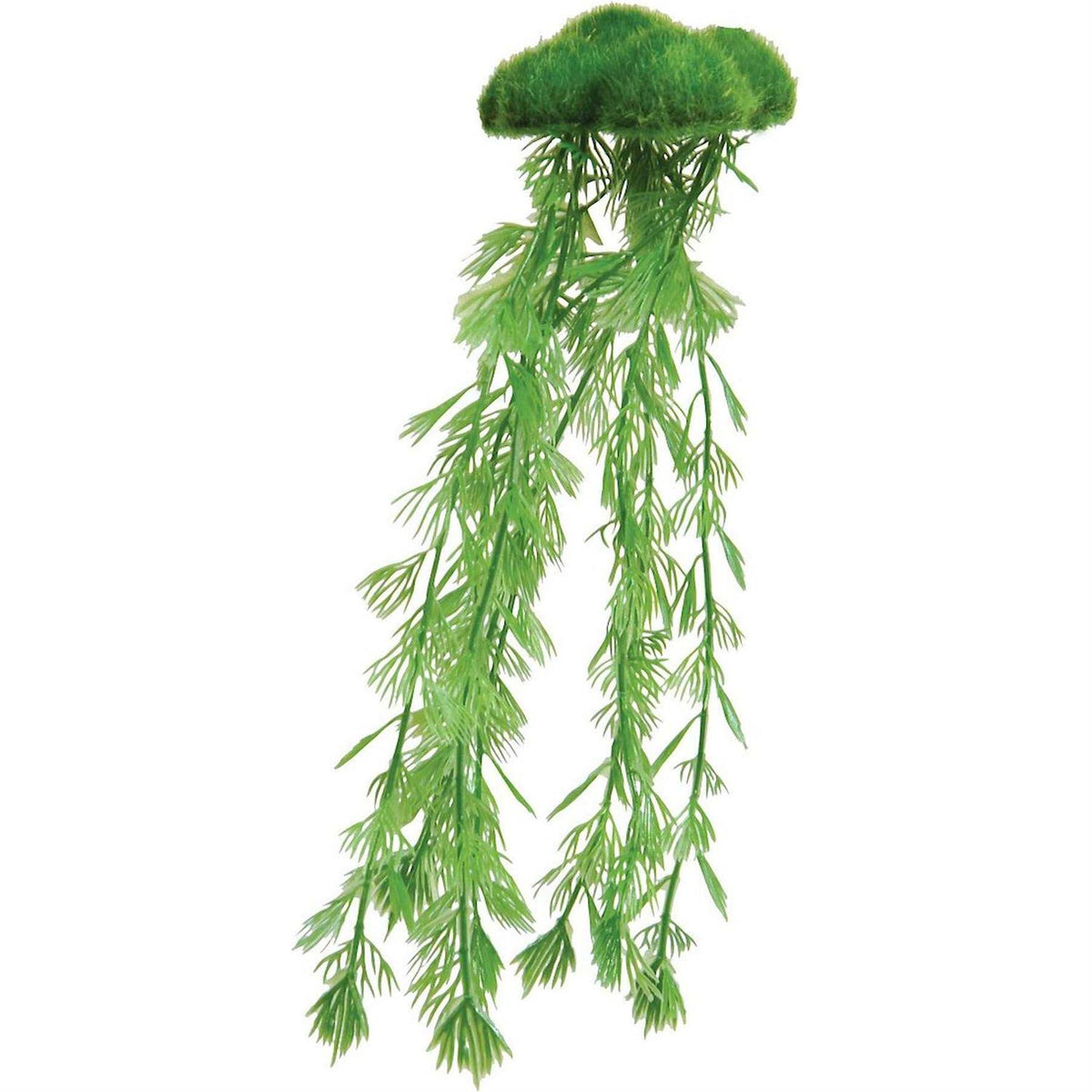 Floating Moss with Roots U808166