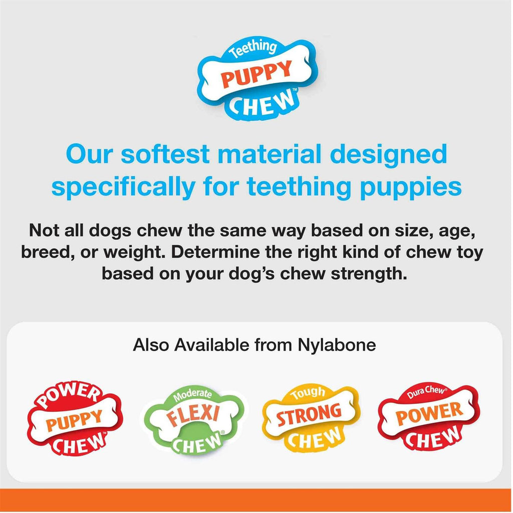 Puppy Chew Teething Keys A5718