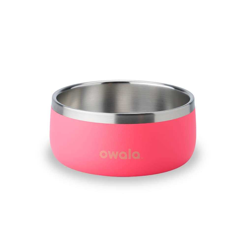 Stainless Steel Food & Water Bowl Pink L456764