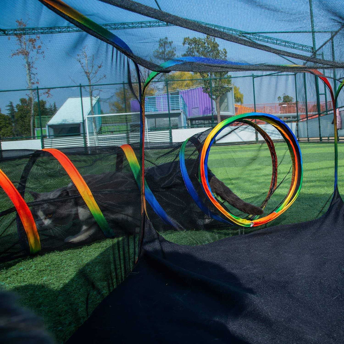 Outdoor Cat Enclosures Playground with Portable Cat Tent V1740