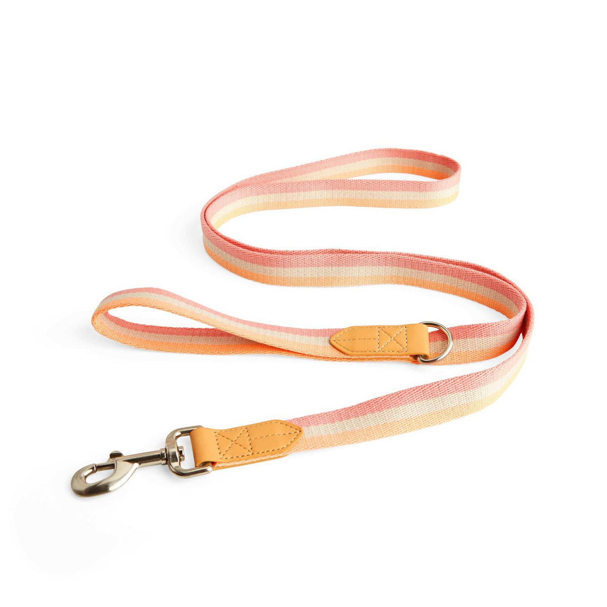 Dog Leash I775