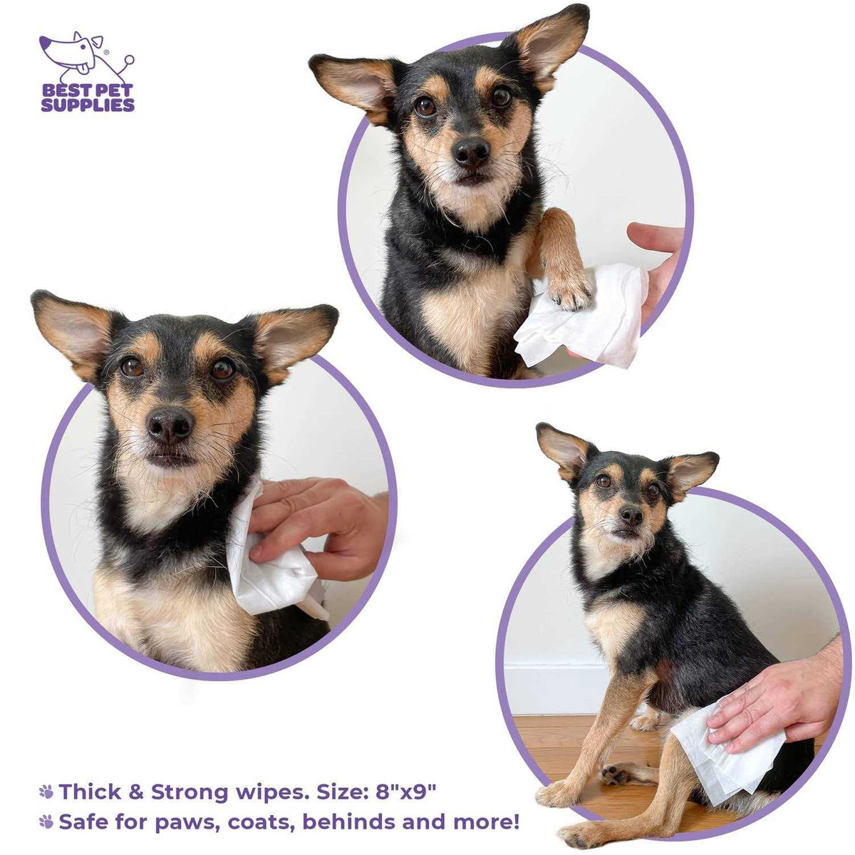Pet Grooming Wipes for Dogs & Cats L11288