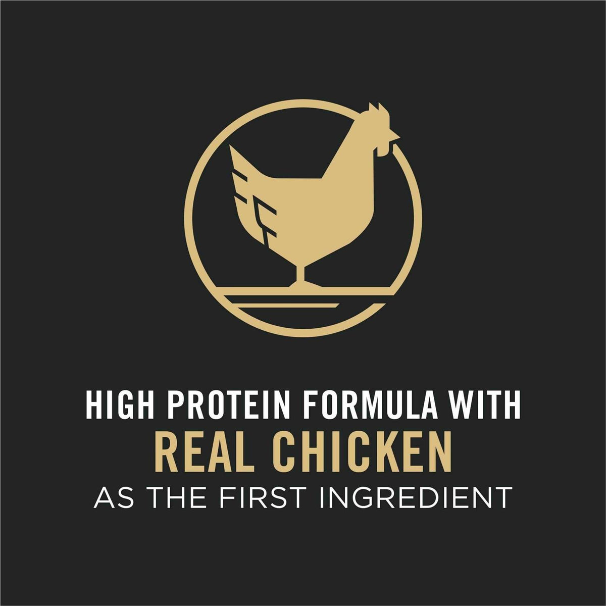 Chicken & Rice Formula Dry Dog Food T301
