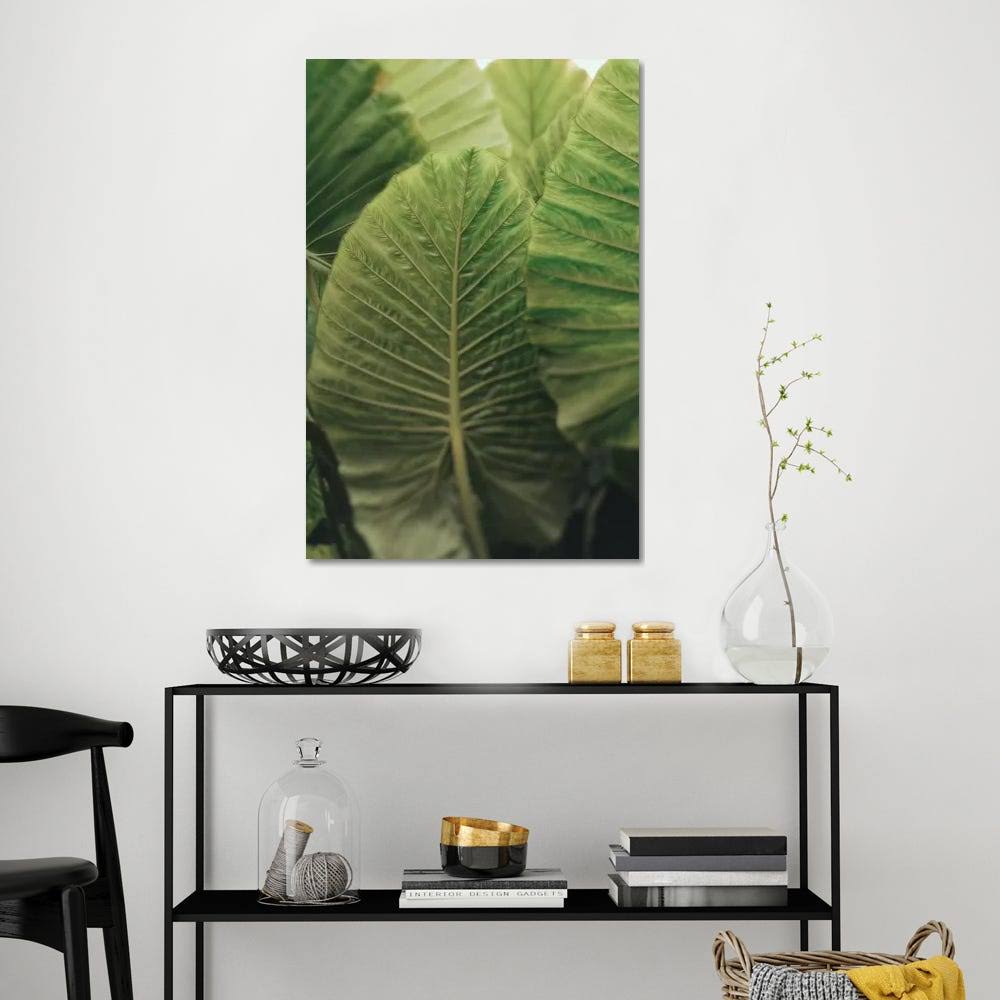 Canvas Prints Z6569