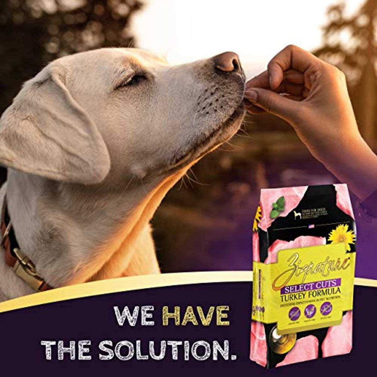 Turkey Formula Dry Dog Food J986053