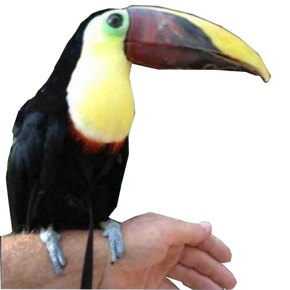 Adjustable Bird Harness and Leash U328101
