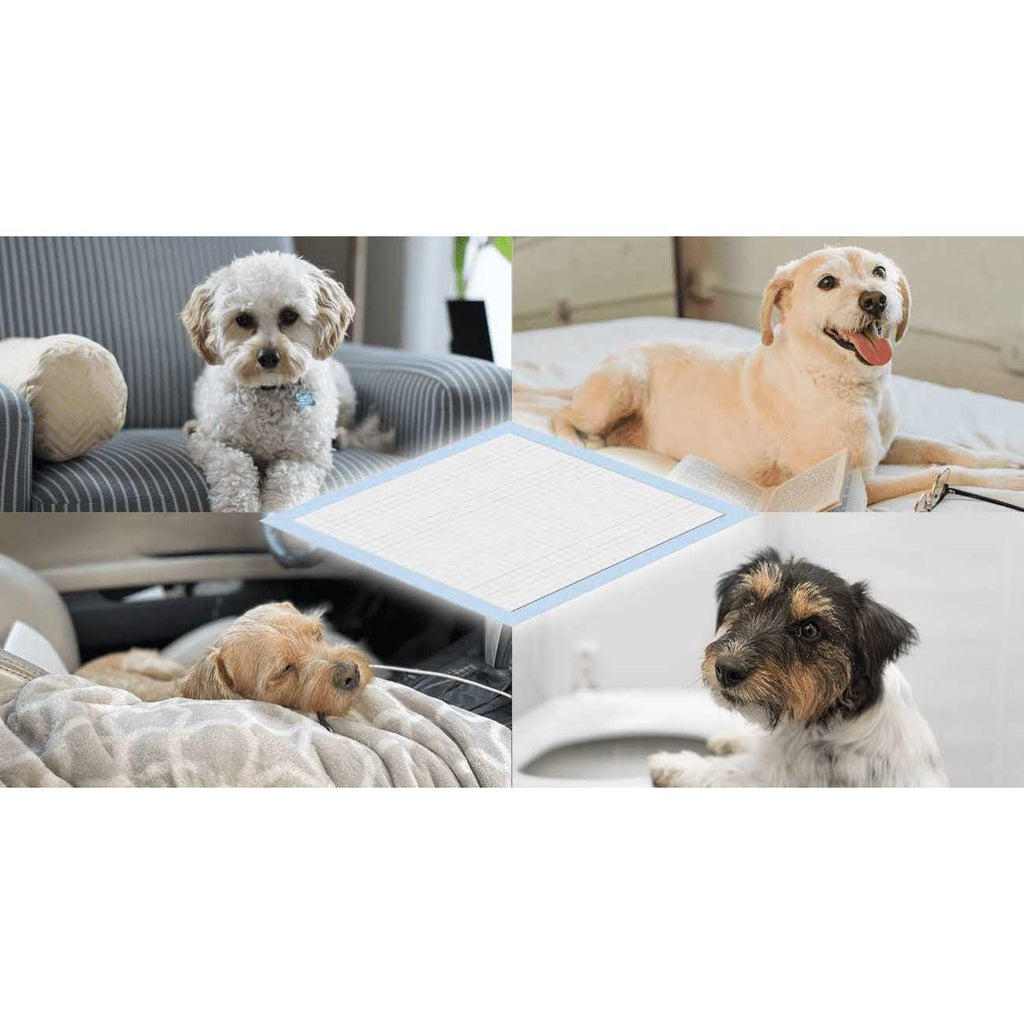 Dog and Puppy Training Pads L7165