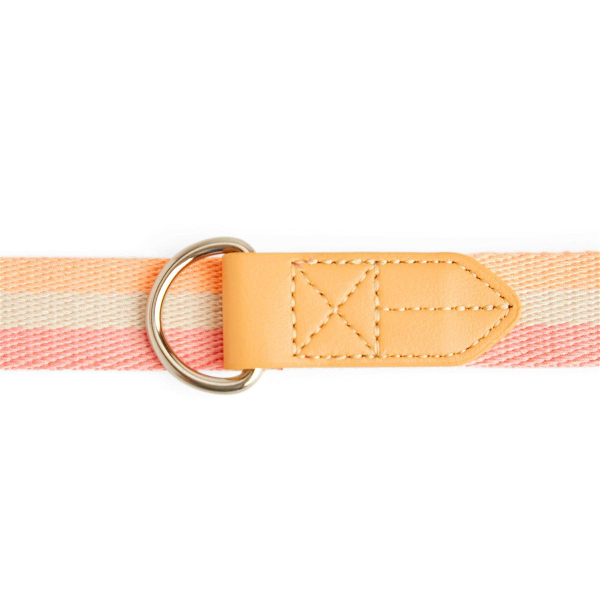 Dog Leash I775