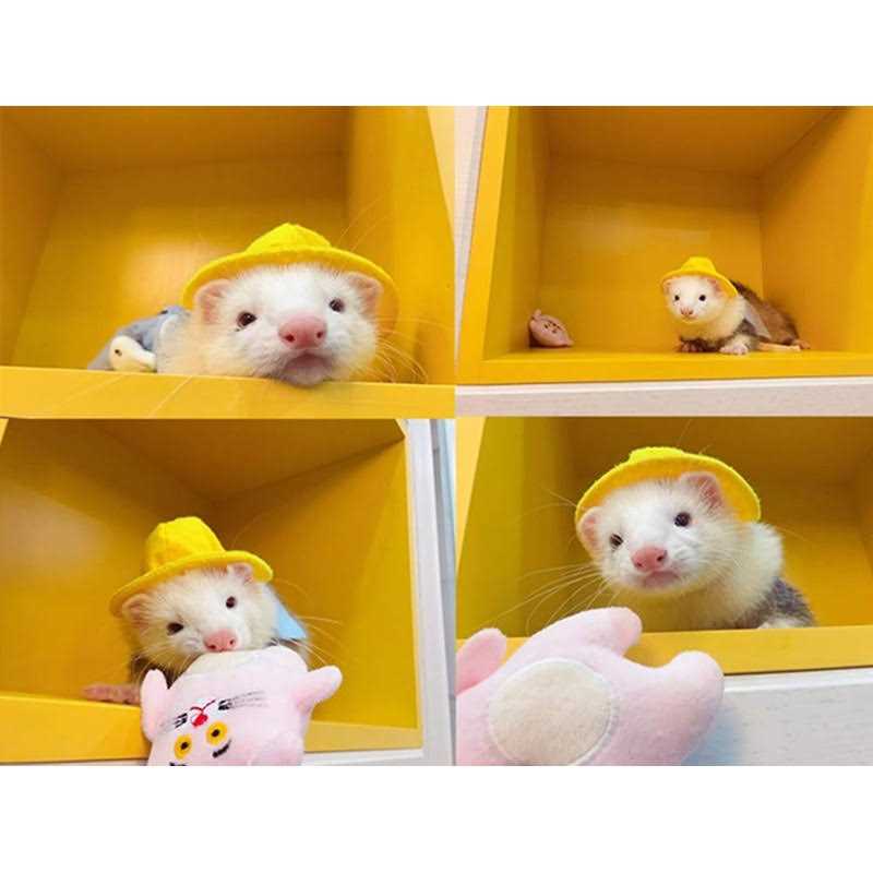 Ferret Clothes Set Small Animal Harness and Leash Adjustable Chest Straps R77368