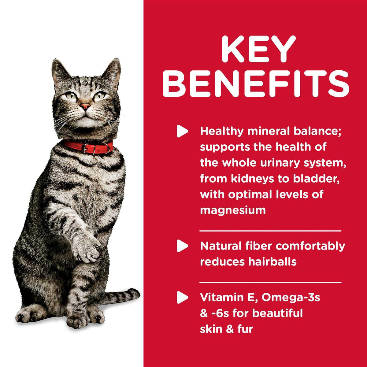 Adult Urinary Hairball Control Cat Food S612458