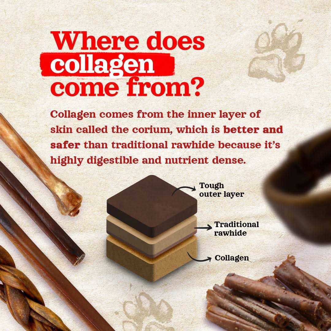 Collagen Sticks D779