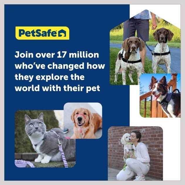Dog Harness U931589