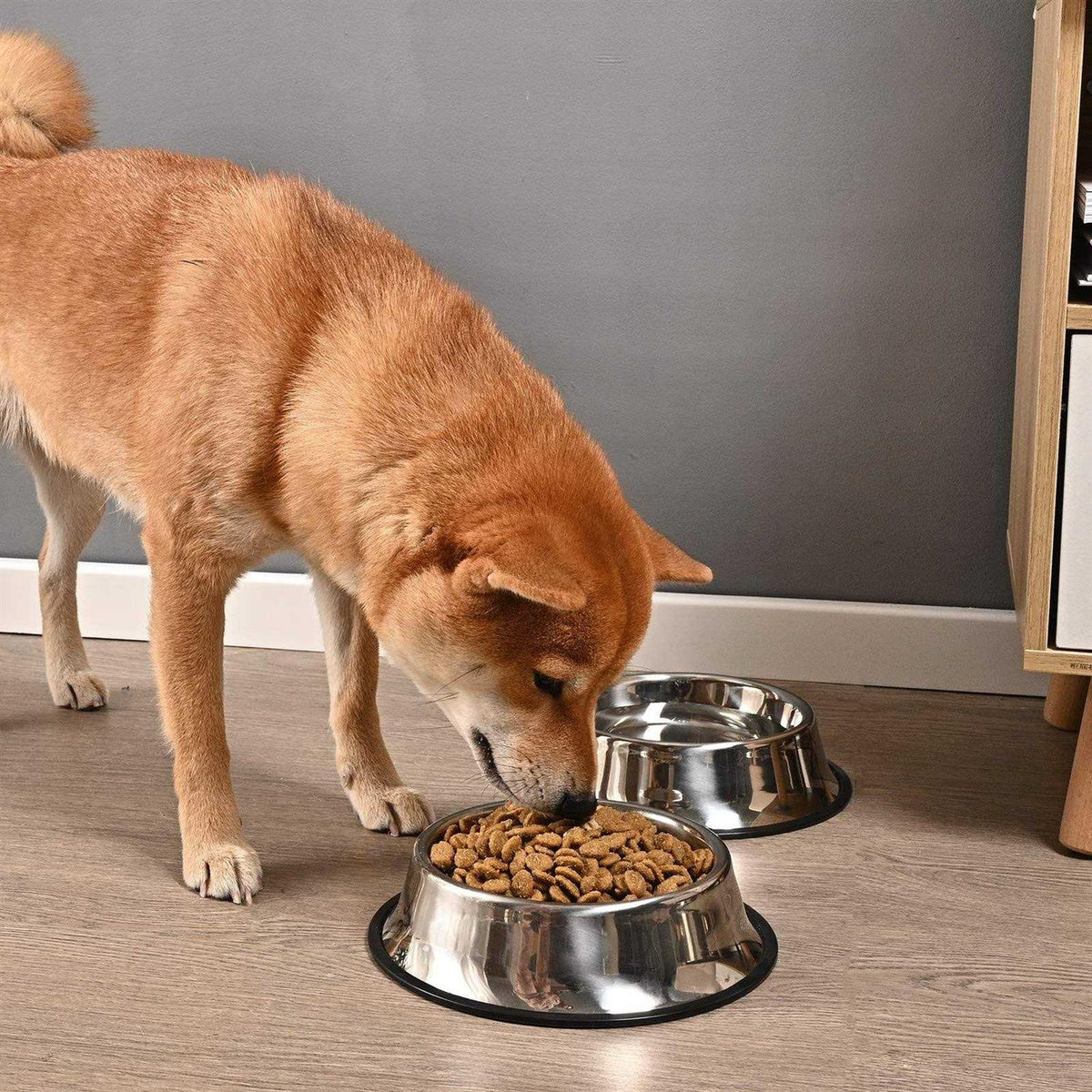 2 Packs Stainless Steel Dog Bowl with Anti-Skid Rubber Base H579