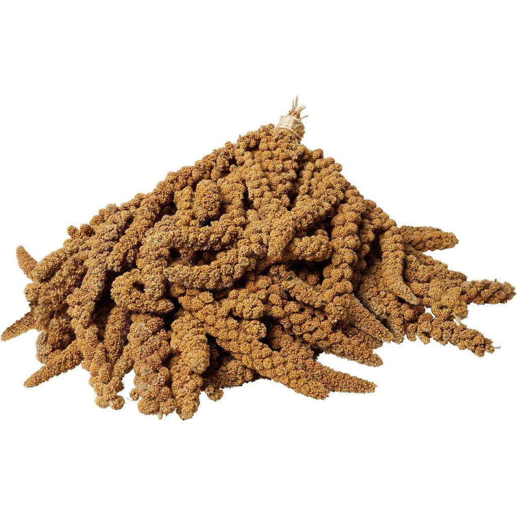 Millet Spray G943216