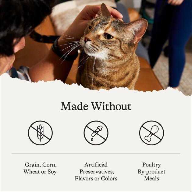 Salmon Grain-Free Dry Cat Food Z404217