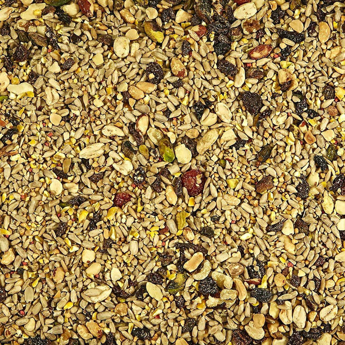 Nut & Fruit Blend Wild Bird Food W902