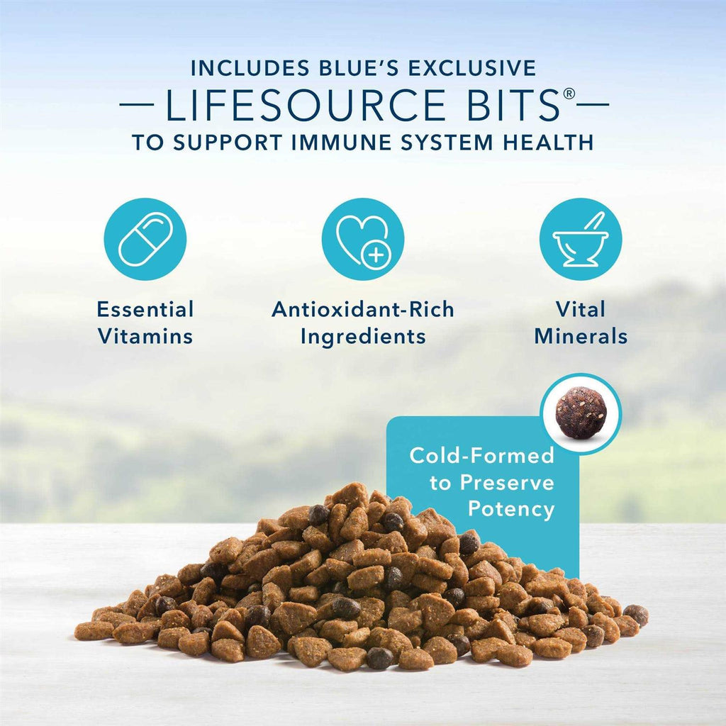 Adult Lamb & Brown Rice Dry Dog Food I9150