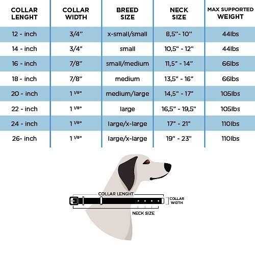 Genuine Embossed Italian Leather Dog Collar Y924