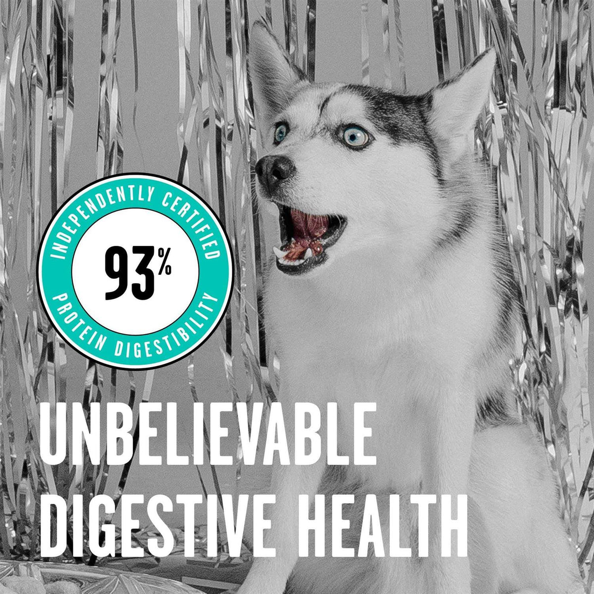 Freeze Dried Duck Dog Food Z196