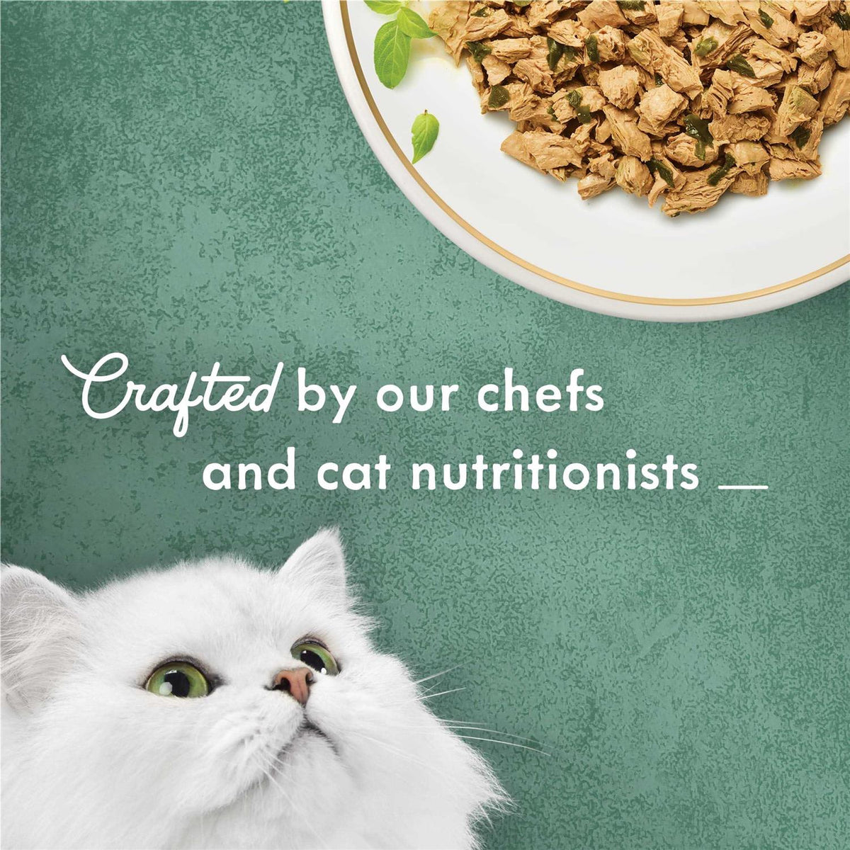 Shredded White Meat Chicken Wet Cat Food C917