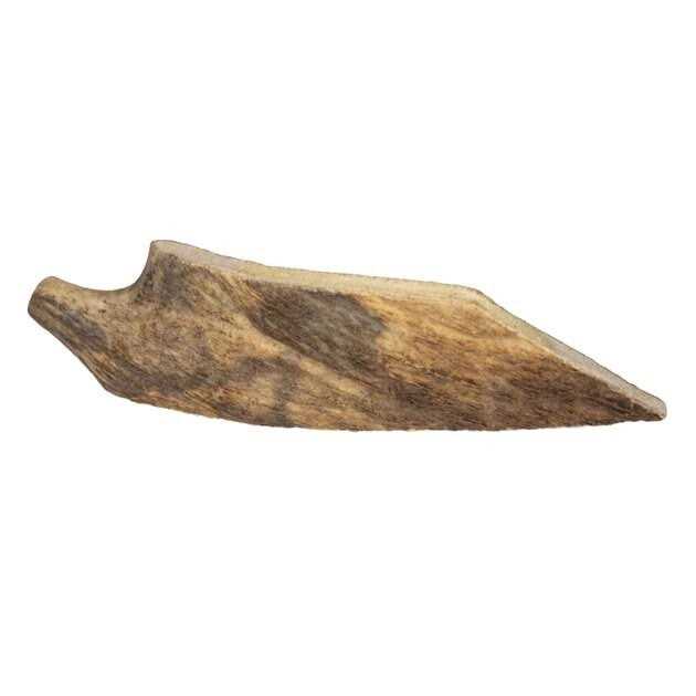 Moose Antler Dog Chew K650851