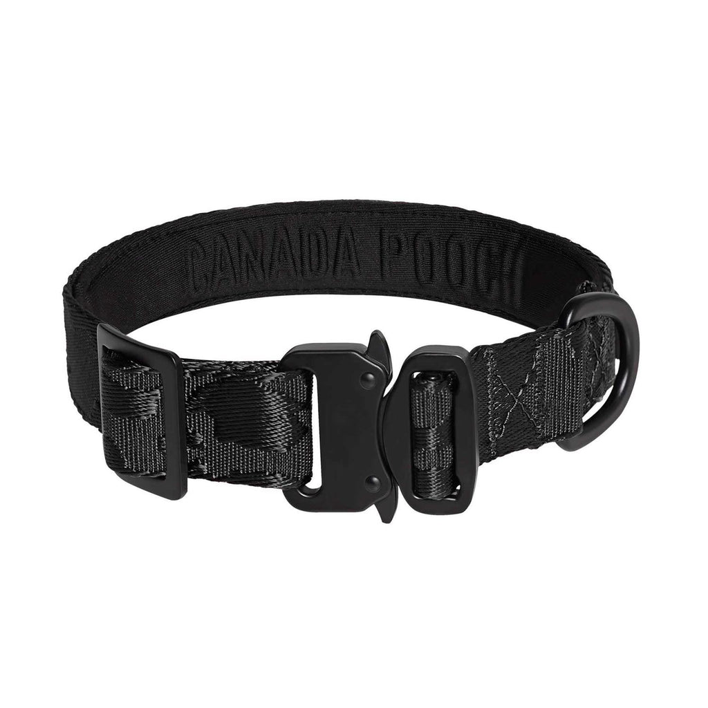 Utility Dog Collar R2525