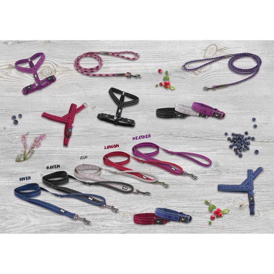 Padded Dog Y Harness X53174