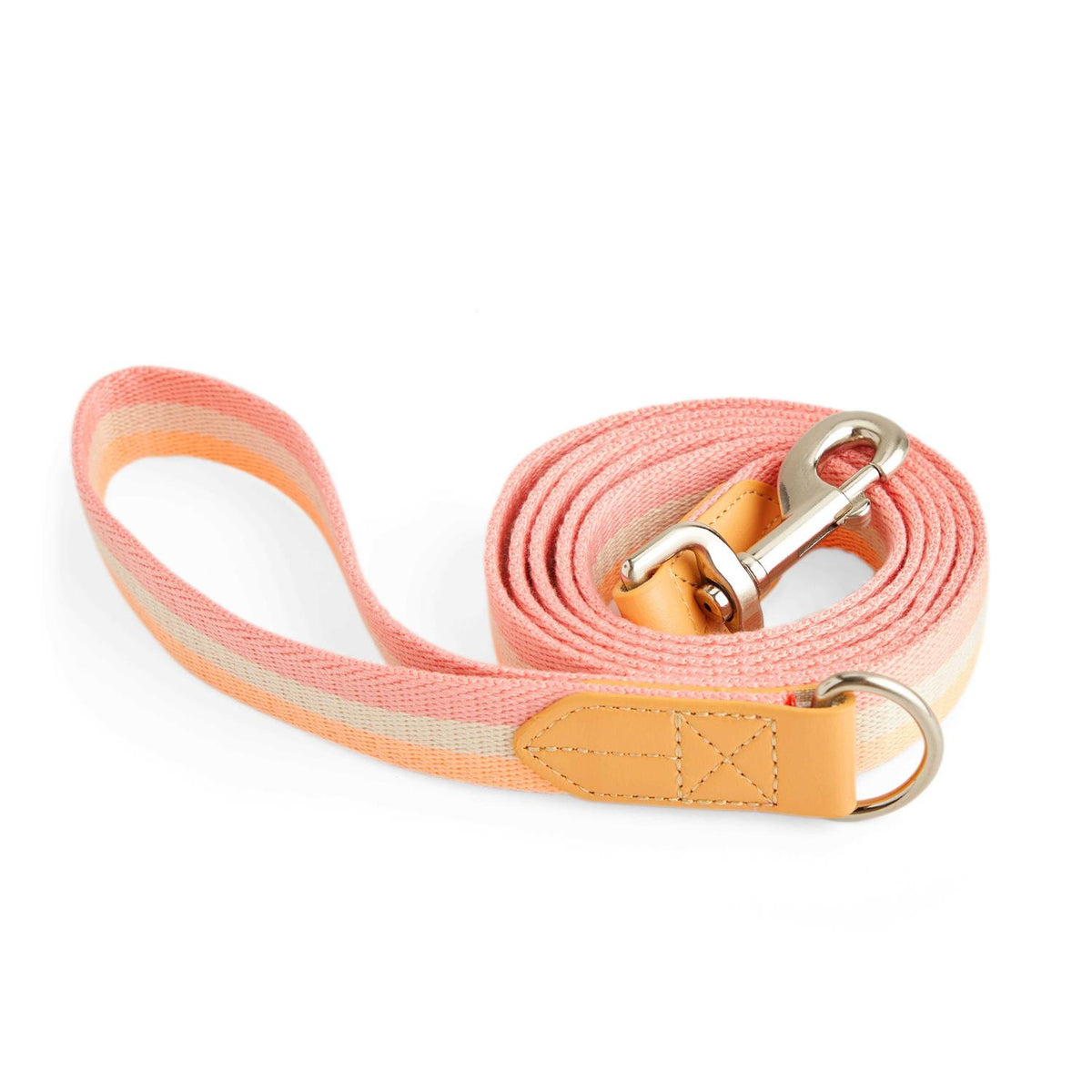 Dog Leash I775