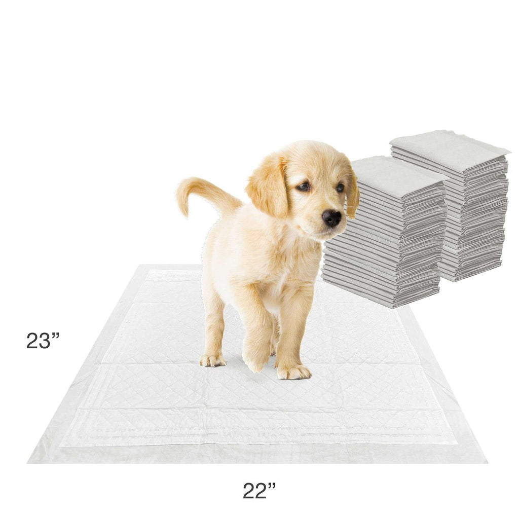 Wee-Wee Pads Q58763