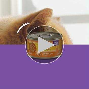 Seafood Pate Variety Pack Wet Cat Food D367142