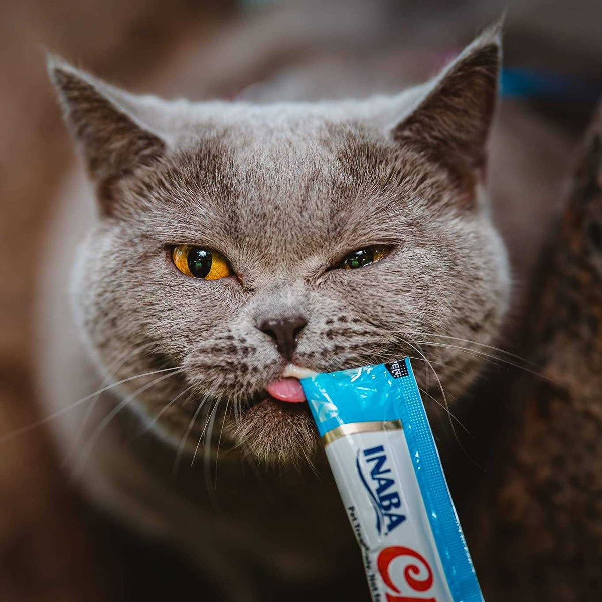 Grain-Free Tuna Flavor Cat Treats V868
