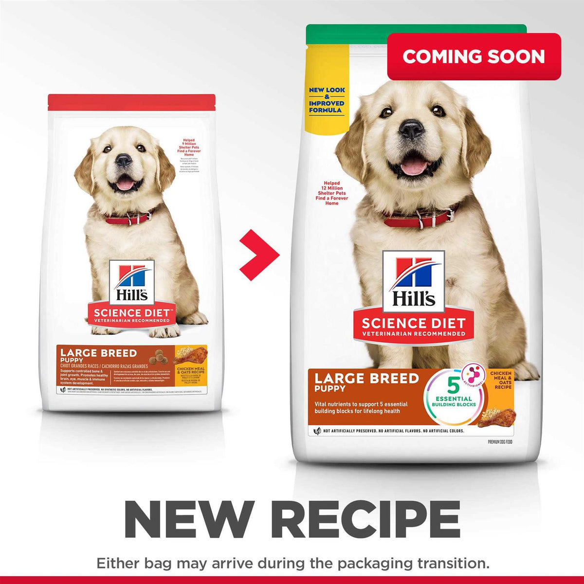 Dry Dog Food M8943