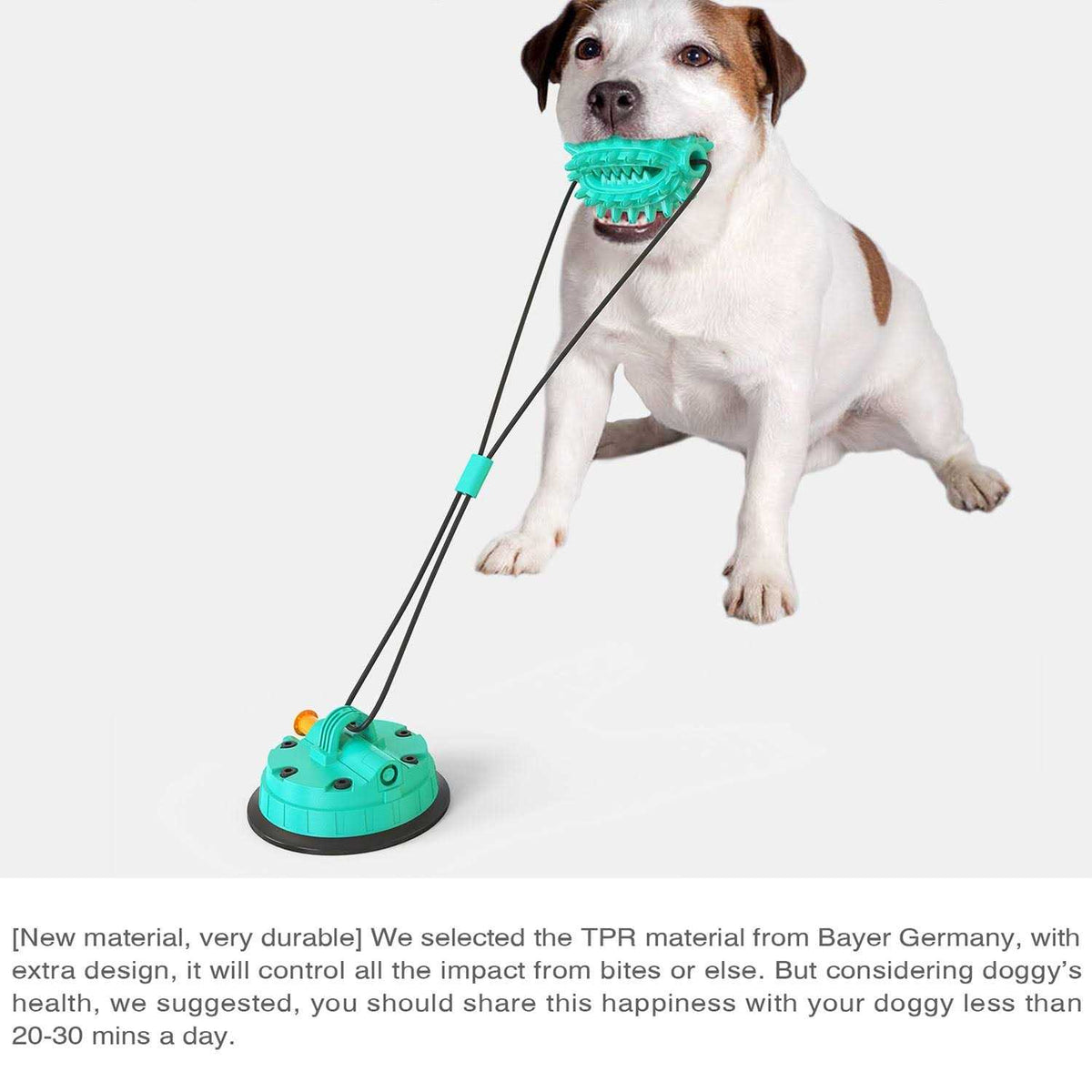 Toothbrush Dog Chew Toy E1150