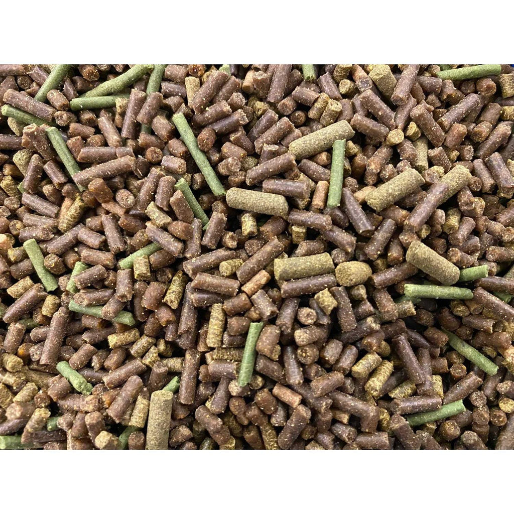Freshwater Snail Food Mix with Calcium B3503