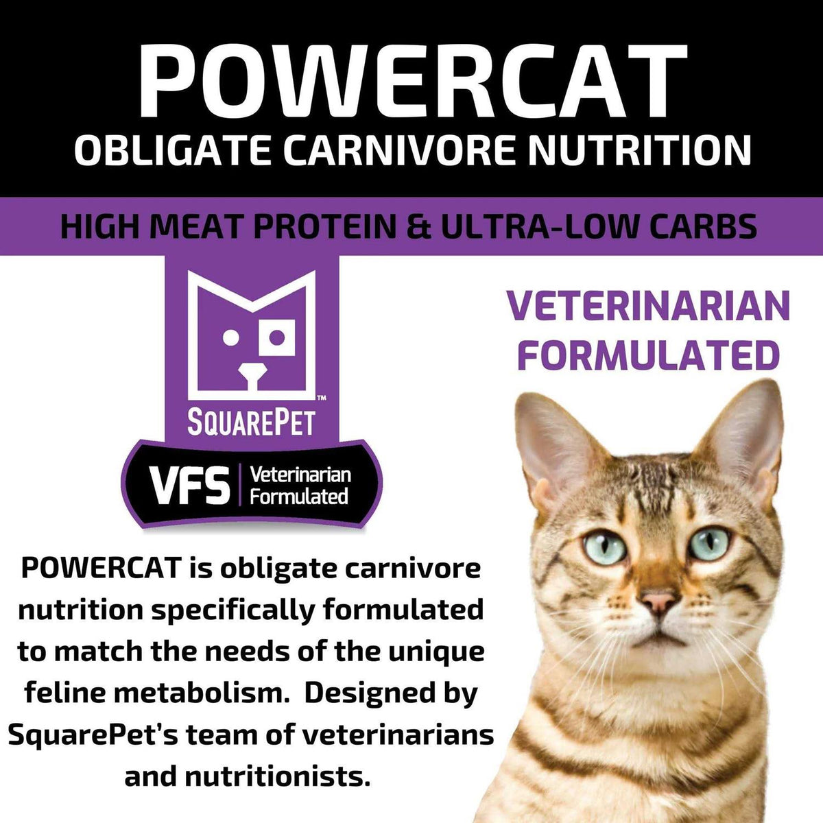Turkey & Chicken Dry Cat Food B416