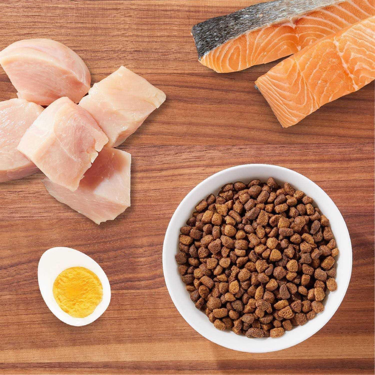 Salmon Adult Dry Cat Food L7022