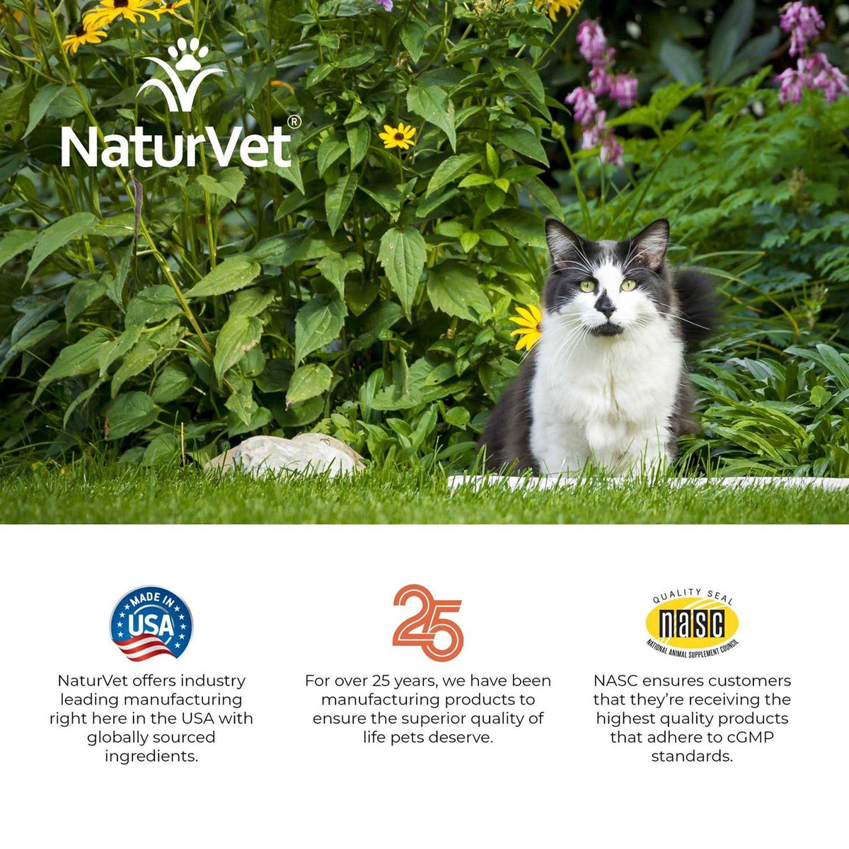 Hemp Allergy Aid Soft Chews Cat Supplement M755