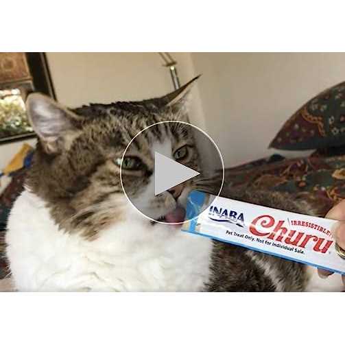 Grain-Free Tuna Flavor Cat Treats V868