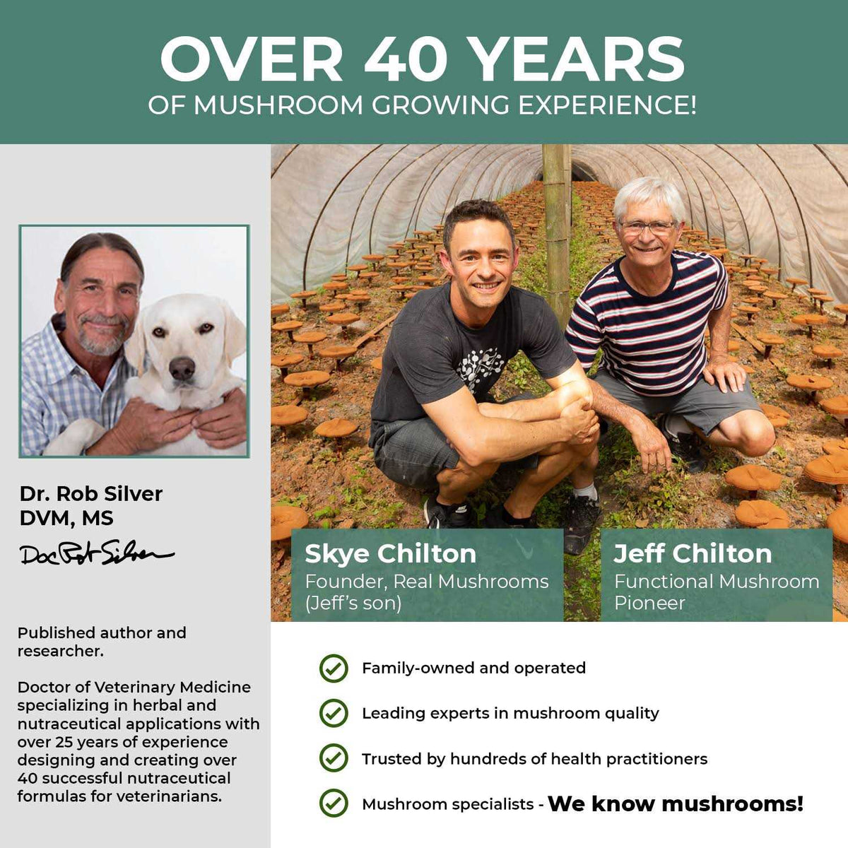 Organic Mushroom Blend I6386