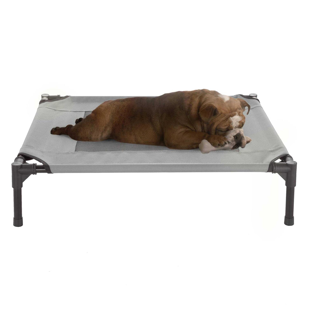 Elevated Pet Bed L9612