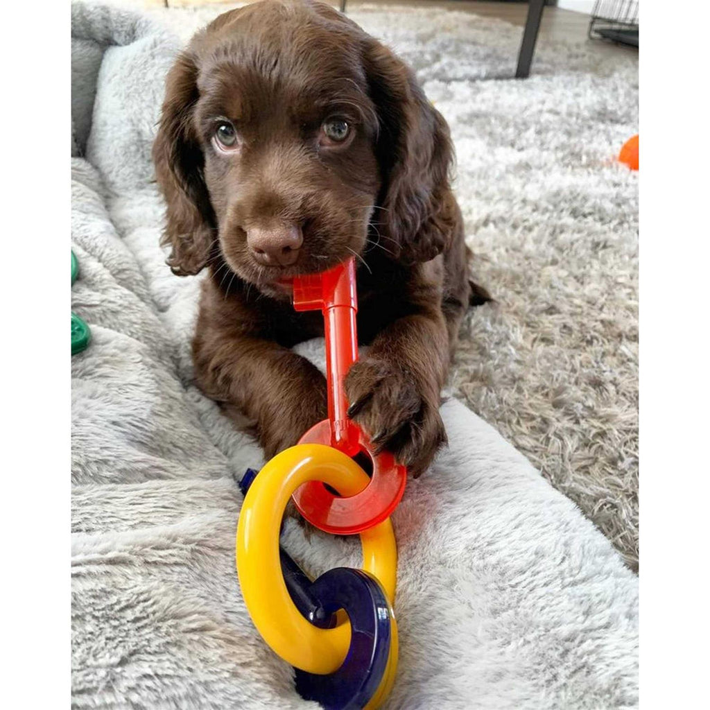 Puppy Chew Teething Keys A5718