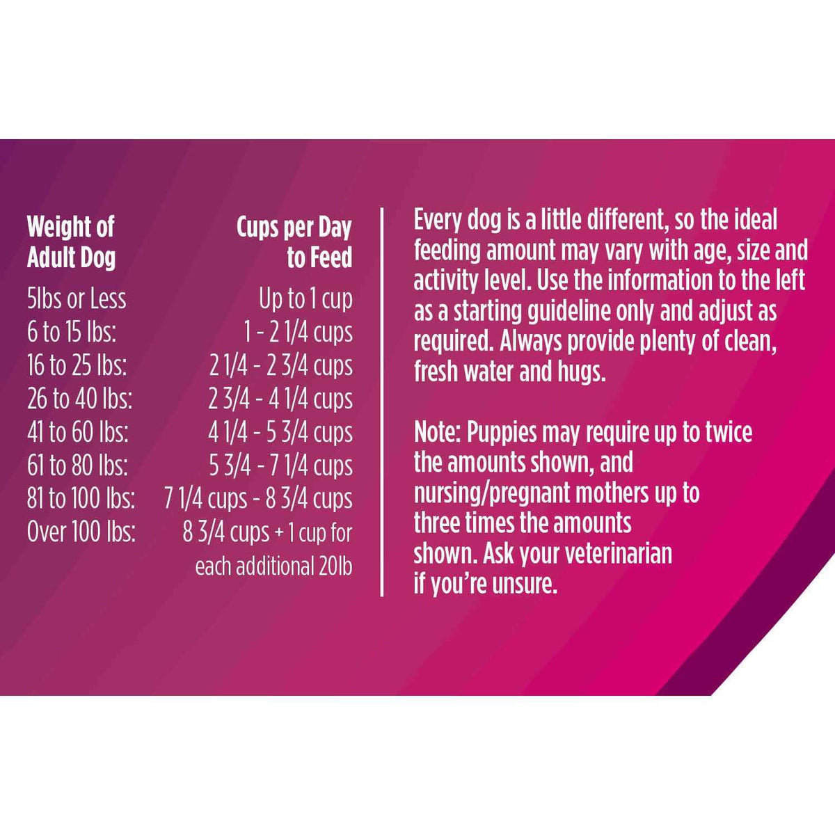 Freeze-Dried Raw Beef Dog Food Z23127