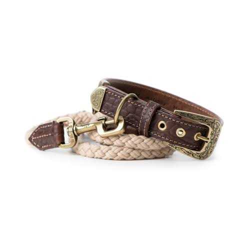 Genuine Embossed Italian Leather Dog Collar Y924